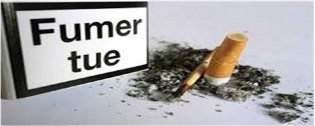 LA NATION FOCUS : Décrypter, analyser, éclairer...